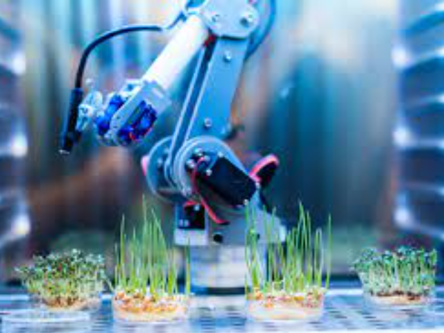 Repensar los complementos vegetales: Medika Natura marca la diferencia